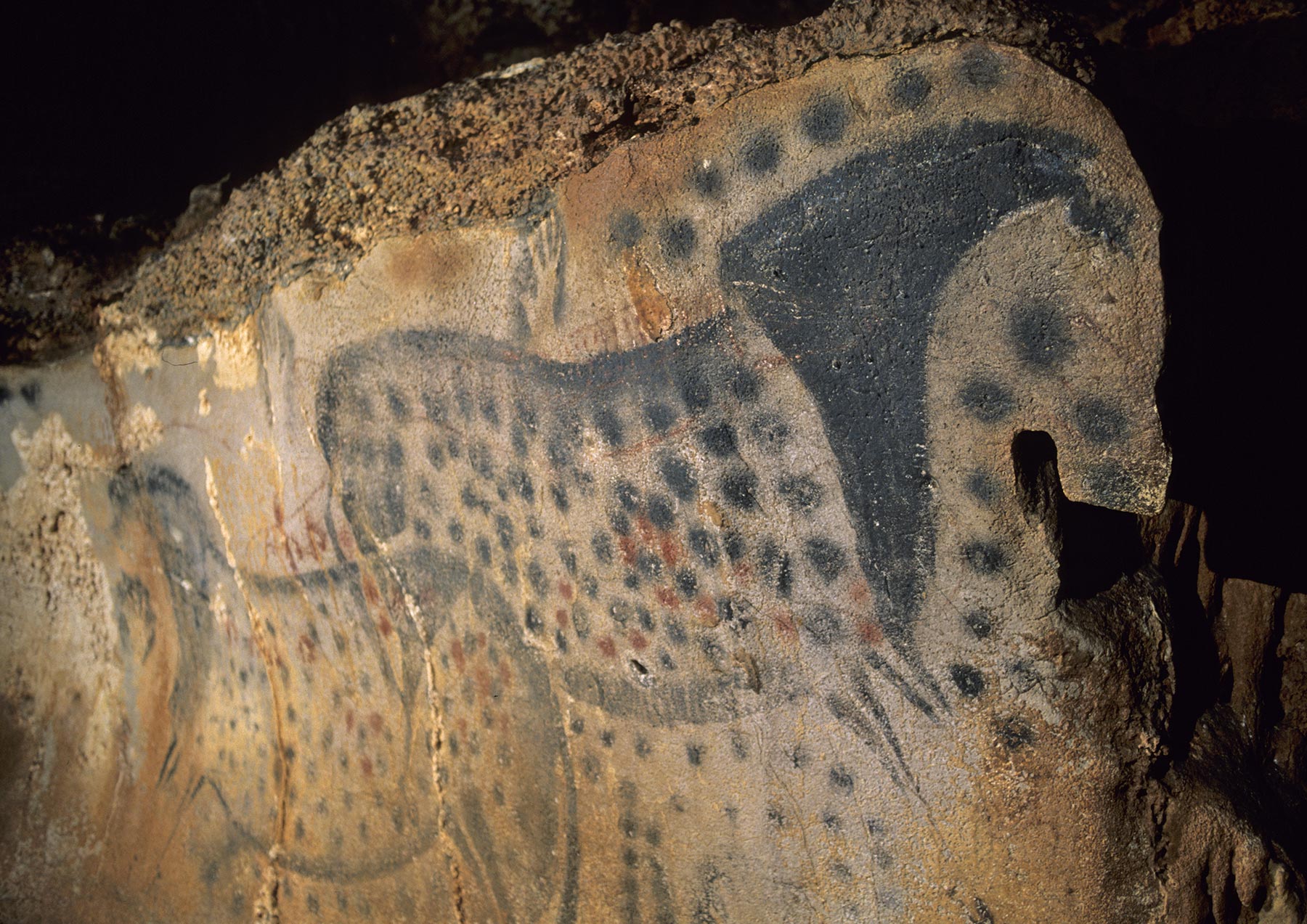 La grotte-temple du Pech Merle : un lieu sacré de la préhistoire<br />

